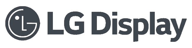 LG Display